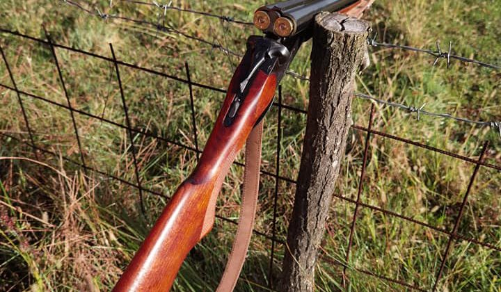 Odabir sačme za lov sitne divljači